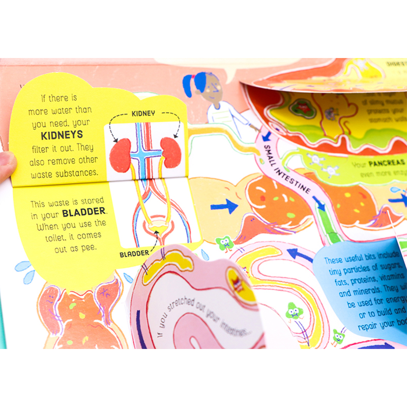 [正版]Usborne出品 人体器官运作原理Lift-the-Flap How Your Body Works 英文原高清大图