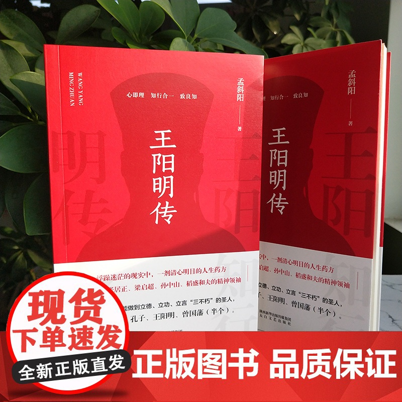 王阳明传 孟斜阳 知行合一的心学智慧 浮躁迷茫的现实中 一剂清心明目的人生药方人生哲学国学经典书籍传习录管理智慧高清大图