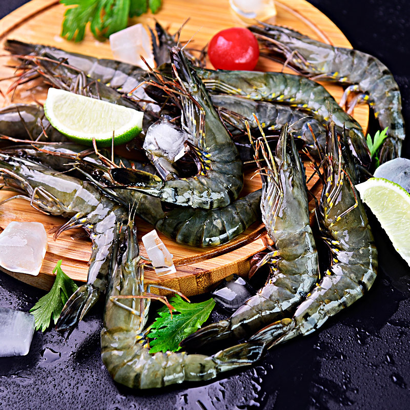 [四海生鲜] 海捕优质黑虎虾黑节虾(10-14条)斑节虾 新鲜海鲜水产 250g