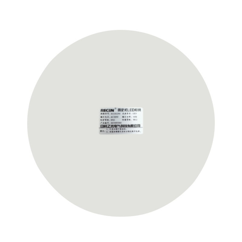 日昇之光(RECEN) RGDL294-12W 固定式LED灯具 (计价单位:个)高清大图