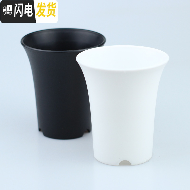 三维工匠船长多肉花盆玉露万象盆塑料小花盆特大加厚肉肉家用 白色1号(7.5×9cm)+底座20套 均码花盆容器