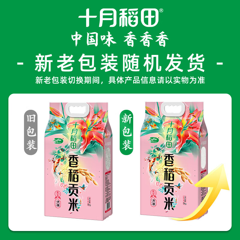十月稻田 香稻贡米 东北大米 10斤(香米 粳米 5kg/公斤)高清大图