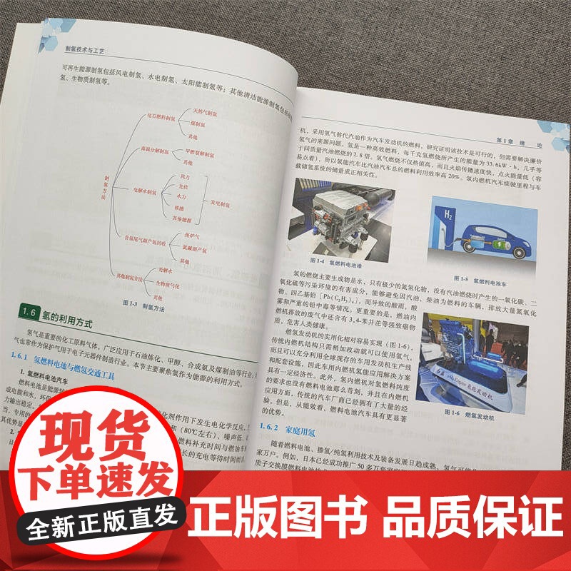 正版 制氢技术与工艺 山东氢谷新能源技术研究院 佛山环境与能源研究院 9787111742142 机械工业出版社高清大图