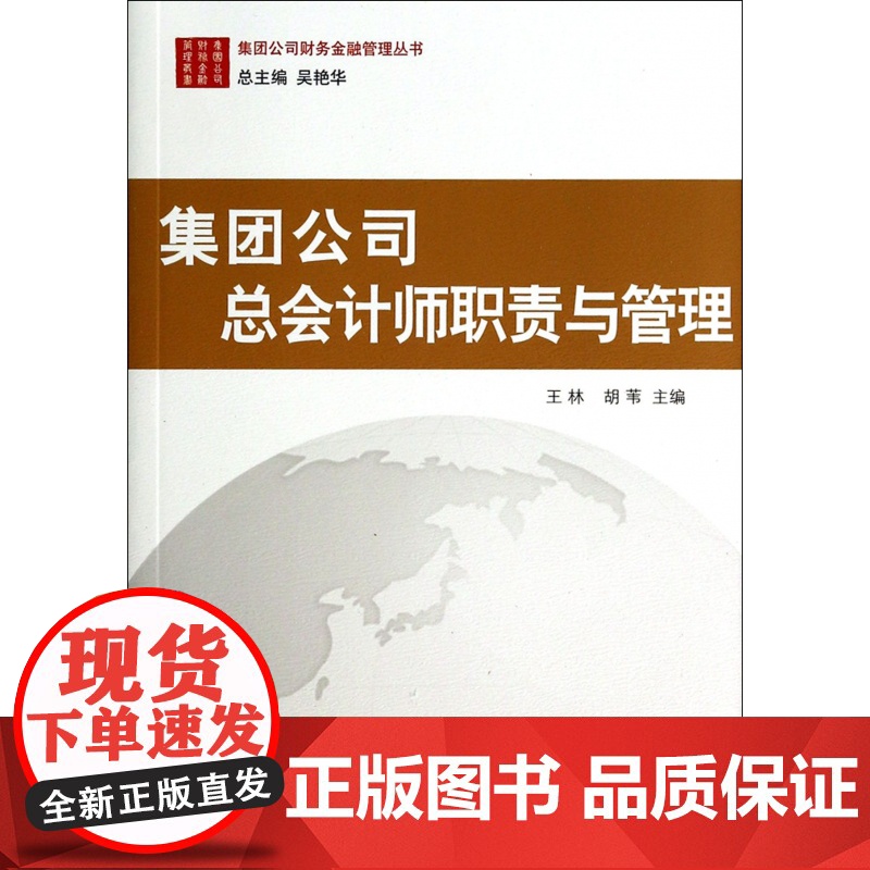 集团公司总会计师职责与管理/集团公司财务金融管理丛书高清大图