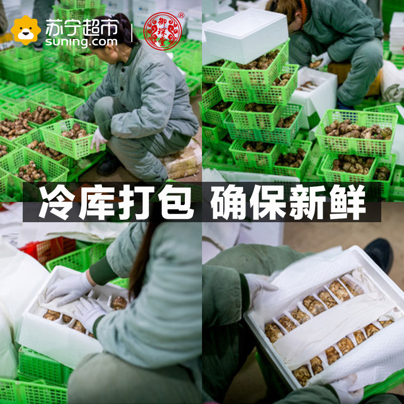 御琛堂 云南香格里拉新鲜松茸 5-7cm 500g 出口级松茸 新鲜采摘 顺丰冷链空运