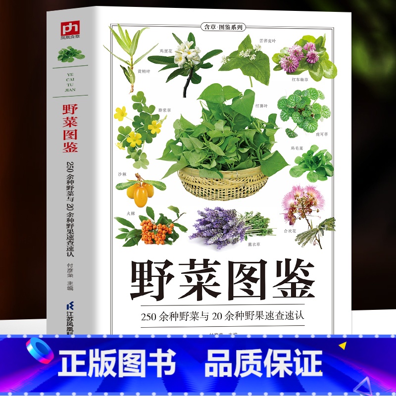 野菜图鉴 [正版]野菜图鉴 250种野菜与20余种野果速查速认 野菜大全书 野外认采中草药野菜图鉴 植物花草识别图解饮食高清大图