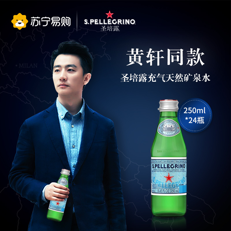 圣培露 充气天然矿泉水 250ml*24瓶 整箱