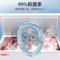 星星(XINGX)BD/BC-303QE家用小型冰柜 卧式冷柜预涂内胆单温厨房商用保鲜设备303升自动减霜1级能效