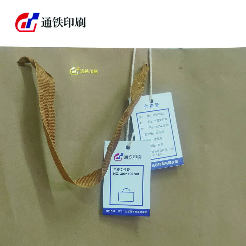 通铁印刷 (手提文件袋)300*400*80单位 (10个/件)高清大图