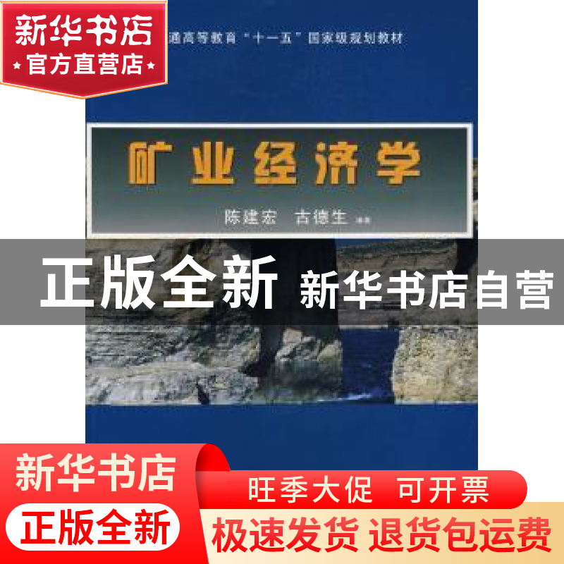 正版 矿业经济学 陈建宏 古德生 中南大学出版社 9787811055788