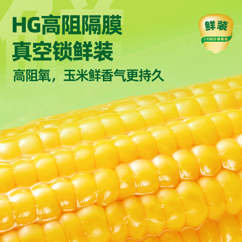 十月稻田鲜食黄糯玉米1.32kg(220gX6)高清大图