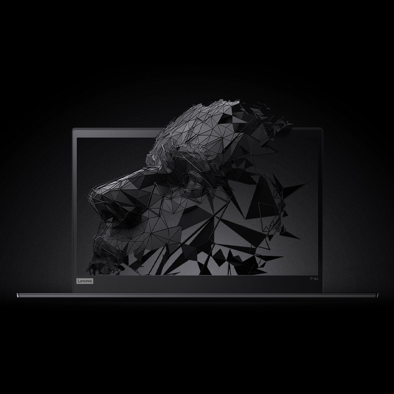 联想ThinkPad P14S 14英寸移动工作站笔记本电脑 I5-10210U 16G 1T固态 2G独显 WIN10