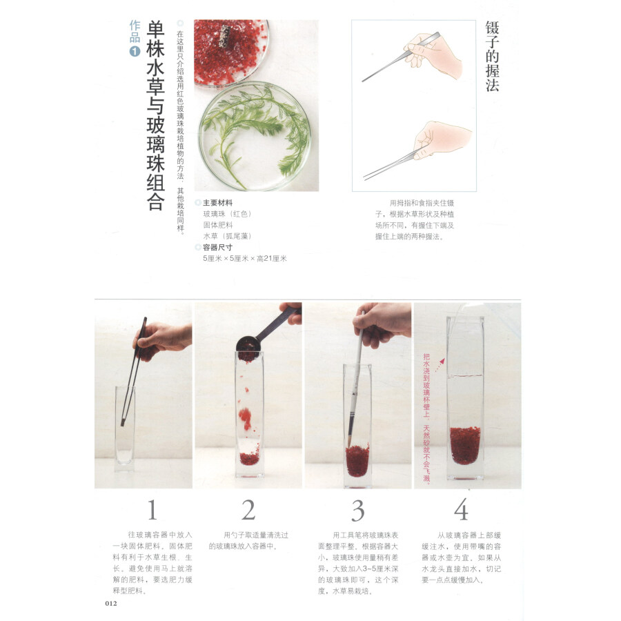 [醉染正版]正版学做家庭植物微景观 美植·美家 养花的书花园设计装修教程 花卉植物绿化植盆栽造景设计私家庭院室内园艺素材高清大图