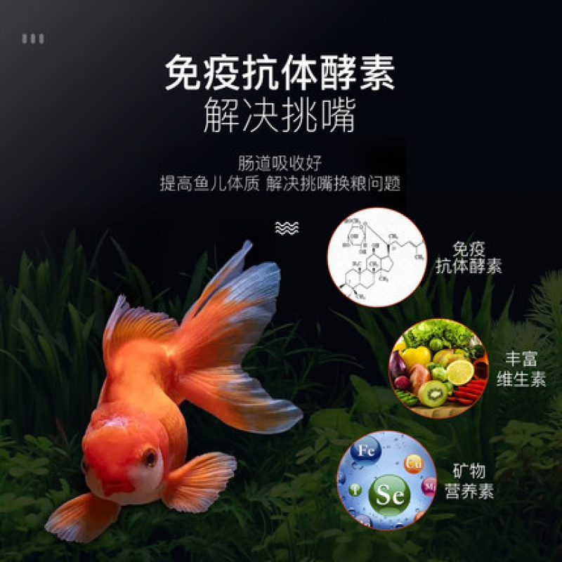金鱼饲料兰寿饲料小型鱼小颗粒鱼食鱼粮小型鱼观赏鱼沉底锦鲤高清大图