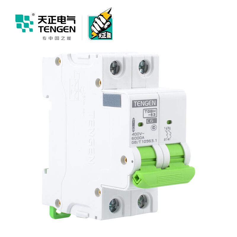 天正电气瑞彩系列TGBH-63 空气开关 6KA 2P C 63A 335013800042 微型断路器