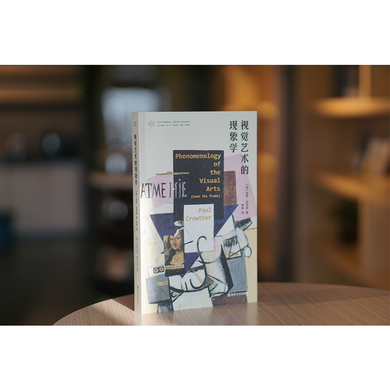 醉染图书视觉艺术的现象学9787305413高清大图