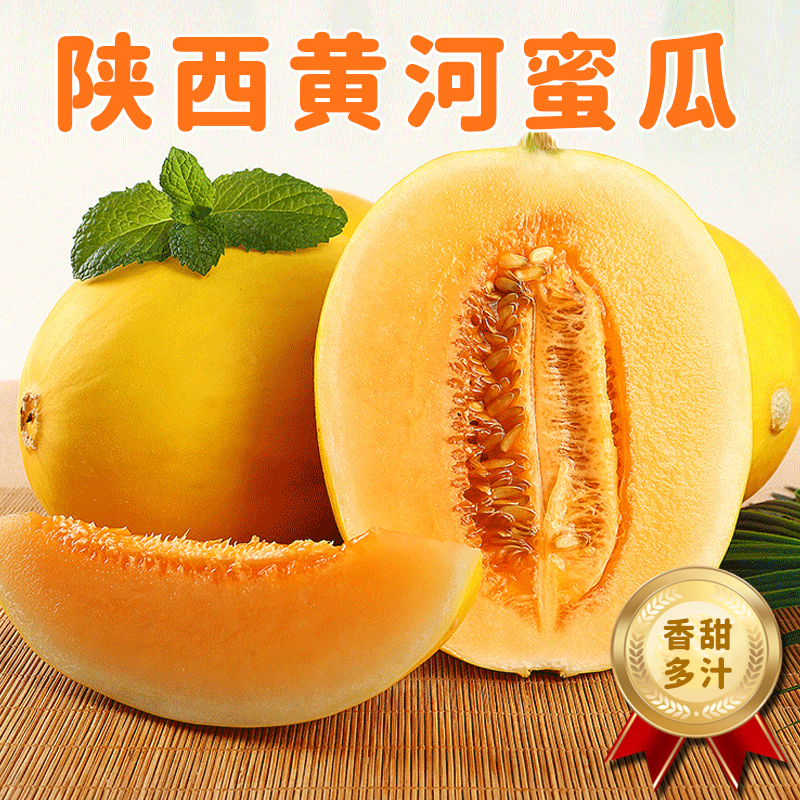 [西沛生鲜]陕西黄河蜜瓜 红肉蜜瓜 带箱3斤装 香甜可口 新鲜水果应季 西沛国产特产