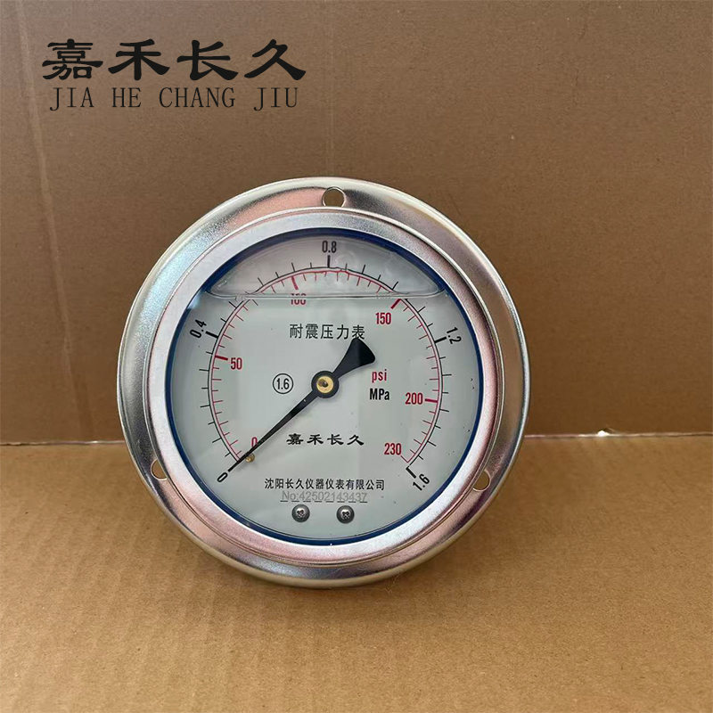 嘉禾长久 耐震压力表轴向带边(带辽宁省级检定证书)YTN100ZT 块高清大图
