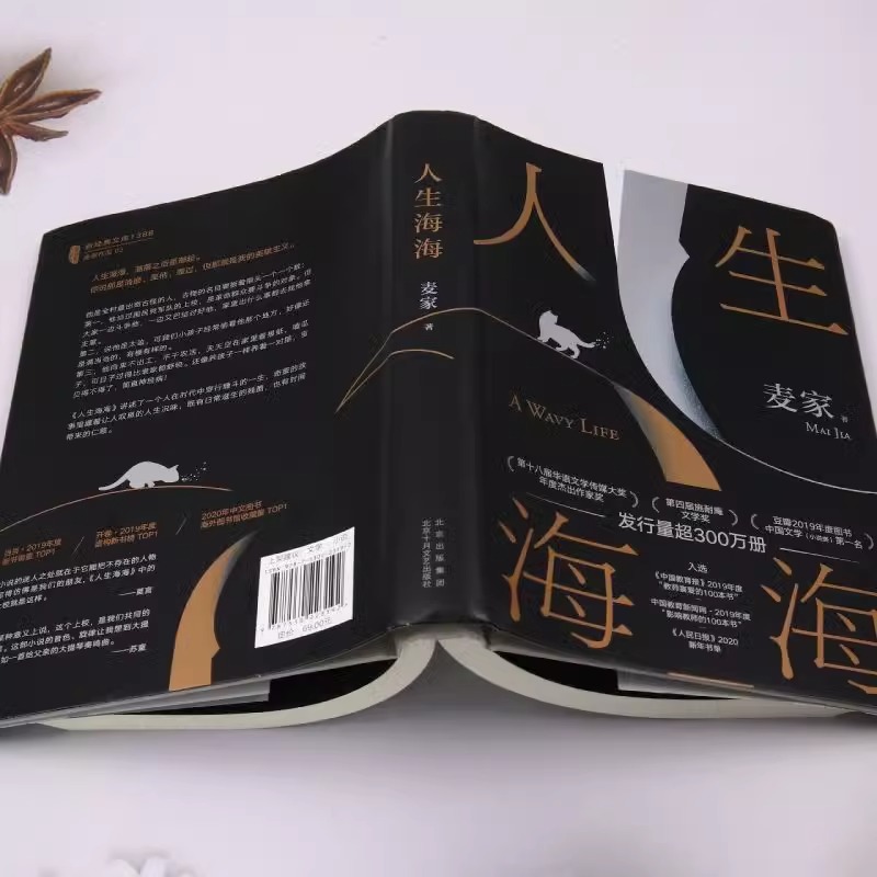 [正版]新版人生海海 麦家 茅盾文学奖得主风声解密暗算人生哲学文学小说书籍 现代当代文学小说高清大图