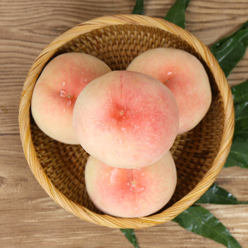正宗阳山水蜜桃礼盒 约1.6kg 新鲜大桃 桃子 4-5两/只 8只/盒