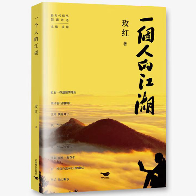 正版新书】一个人的江湖玫红 著,天河世纪 出品9787540263799