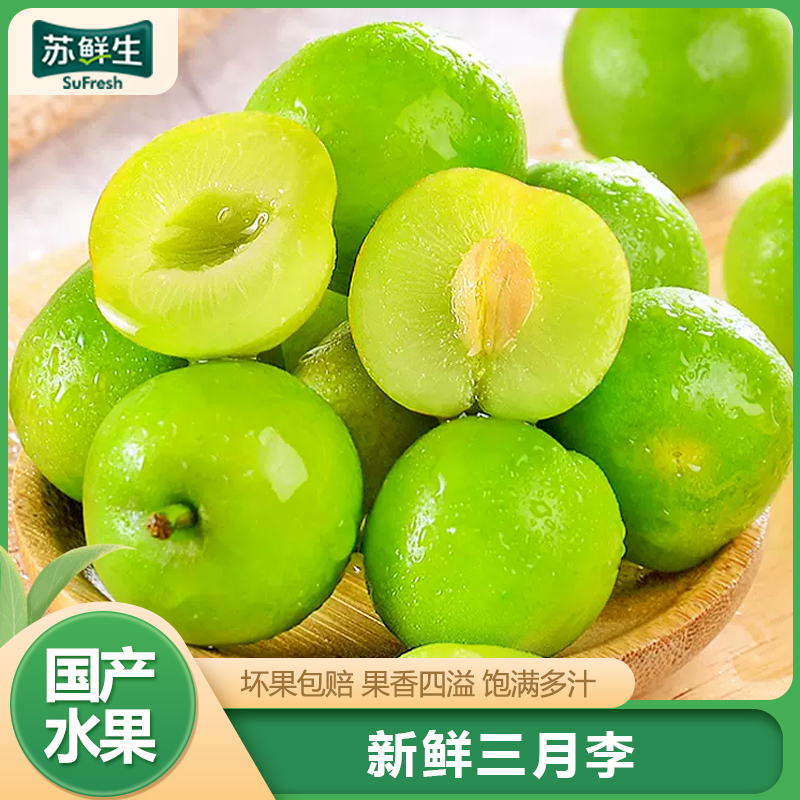 [苏鲜生]云南三月李 250g 大果 新鲜水果当季酸脆三华珍珠李孕妇整箱高清大图