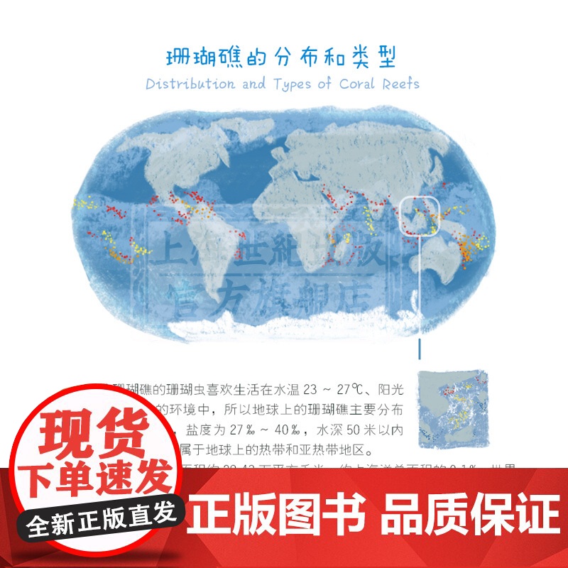 我的珊瑚礁 自然DIY 科普绘本 亲子手工 科普读物 自然科学 海洋科普 少年儿童出版社高清大图