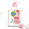 (Dettol)滴露洗手液健康抑菌滋润倍护500g