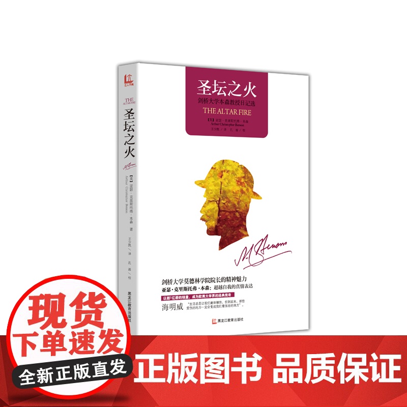 圣坛之火高清大图