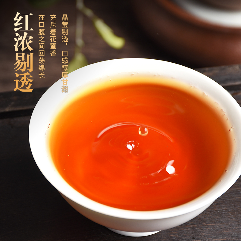 溪商正山小种 茶叶红茶2025新茶武夷山桐木关浓香型礼盒装500g