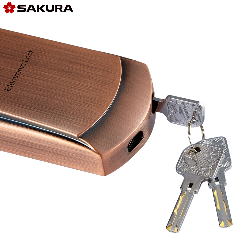 樱花sakura防小黑盒滑盖指纹锁防盗门锁家用远程控制大门开锁智控dz