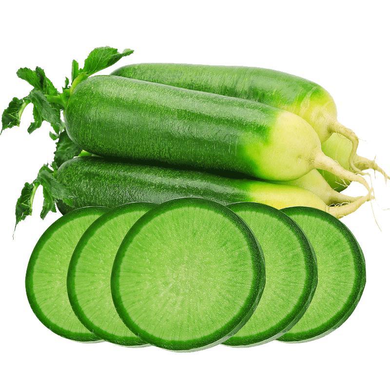 天津特产沙窝萝卜新鲜脆甜生吃水果蔬菜萝卜可开发票25kg