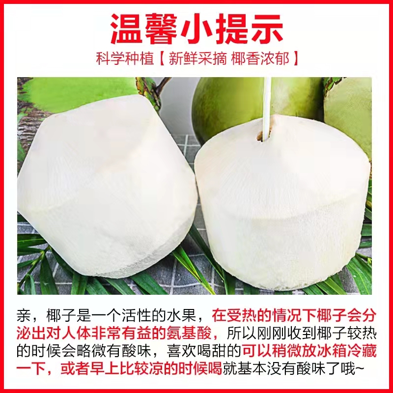 (送开椰器)海南椰青新鲜椰子6个大果装(单果1000g)去皮香水椰孕妇水果高清大图