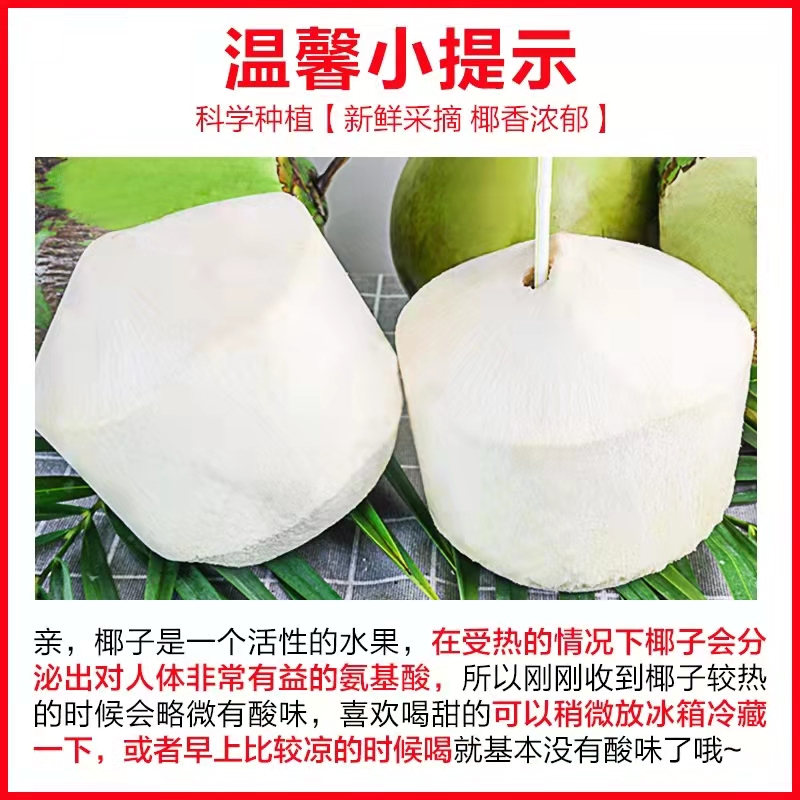 (送开椰器)海南椰青新鲜椰子6个大果装(单果1000g)去皮香水椰孕妇水果