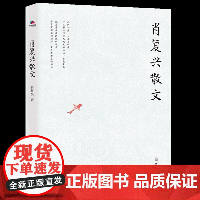 肖复兴散文 肖复兴著 收录花边饺和拥你入睡中小学语文阅读篇目 手绘插图 现当代文学散文精选集名家作品北京联合出版公司高清大图