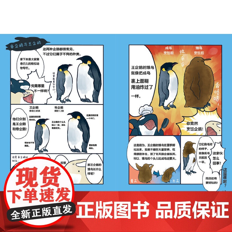 海洋里的大明星(以虎鲸这个大家既知道又不是特别了解的海洋动物为线索,引出了其他不同的海洋动物。海洋科普系列)高清大图