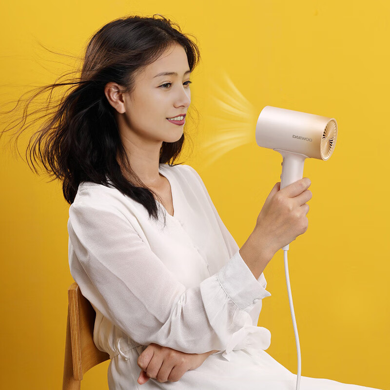 大宇(DAEWOO)电吹风大功率家用宿舍速干便携吹风筒 DYCF-16D6高清大图