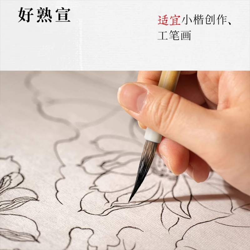 专用纸作品纸国画毛边纸初学者书法练习用纸生宣纸熟宣纸练毛笔文具