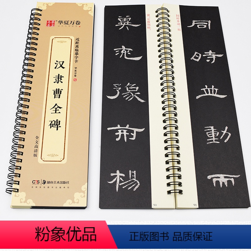 进阶实战/曹全碑临摹字卡 【正版】瘦金体字帖硬笔 初学者入门 瘦金体临摹字帖 硬笔教程 字帖成年人钢笔宋徽宗瘦金体书法男