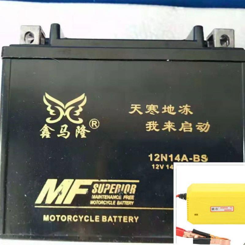 12V14A电池 三轮摩托车电池12V14A免维护电瓶宗申福田隆鑫燃油水冷三轮车通用