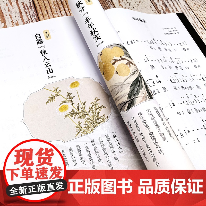 二十四节气古琴曲集 附音频 配套钢琴伴奏曲谱零基础初学者新手古琴入门知识古琴曲谱 古琴谱钢琴谱曲集乐曲熟练指法图书籍高清大图