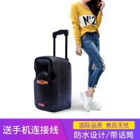 Pro main广场舞音响户外大功率便携式拉杆音响带无线话筒播放器可移动充电手提音响K歌家用蓝牙重低音室外手提直播录音