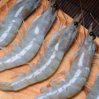 【大虾！4斤仅76.9元】顺丰速运 南美白虾（60-70）原装进口海鲜基围虾白虾 生鲜（净重2.8-3.2斤）