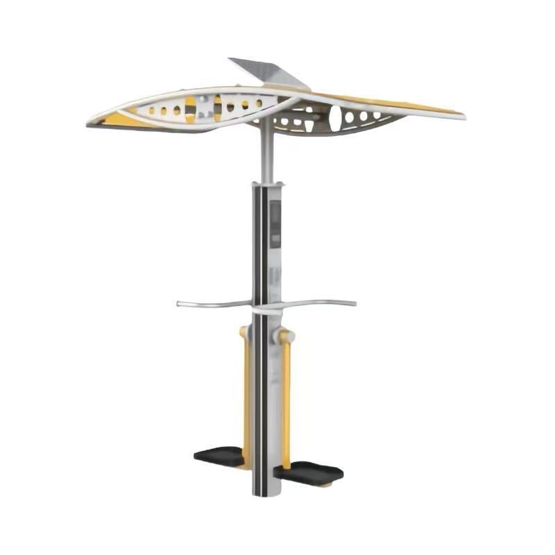 晨洋体育(ChenyangTY) 双位智能左右摆侧器 CYTY-160 个