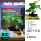 鱼缸造景莫斯沉木水榕无土植物懒人增氧真水草趴地矮珍珠陀草