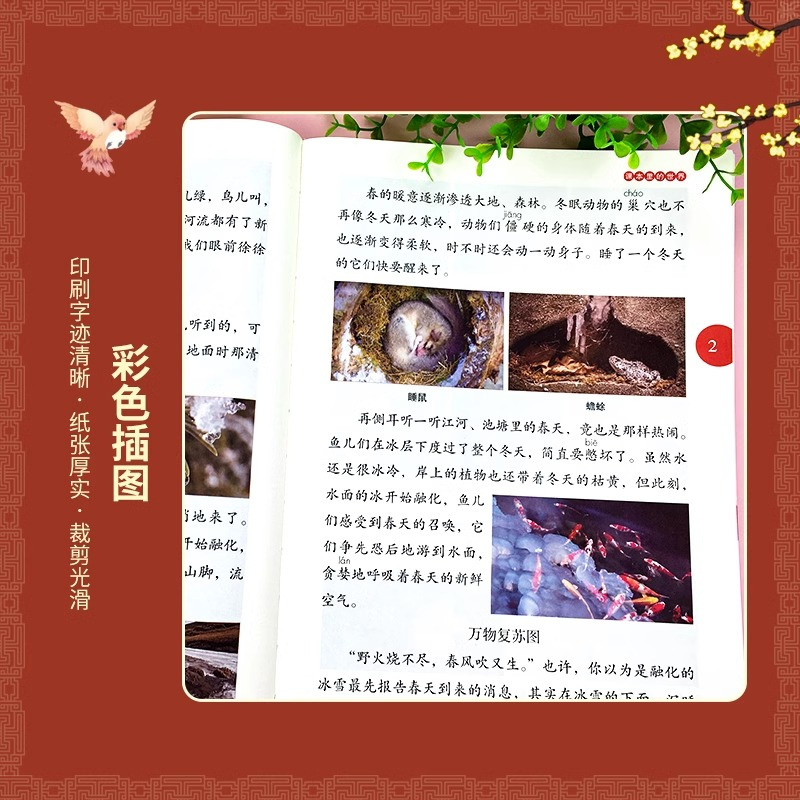 [全2册]年级阅读+字词句手册 一年级下 [正版]2023年级阅读二年级上册下册一上二上小学生绘本课堂一年级三年级四五六