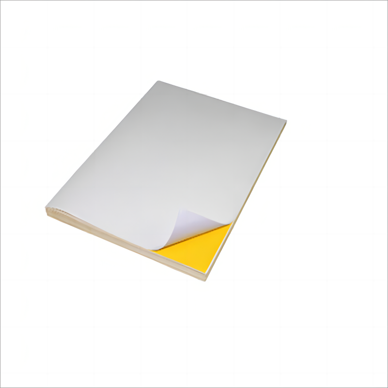 彩标 BGJ-200 300mm*200mm 50张/盒 标签胶贴 (计价单位:盒) 白色