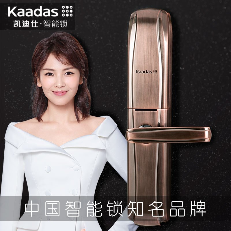 Kaadas凯迪仕指纹密码锁6017 家用防盗门锁 智能锁 智能安防香槟金色