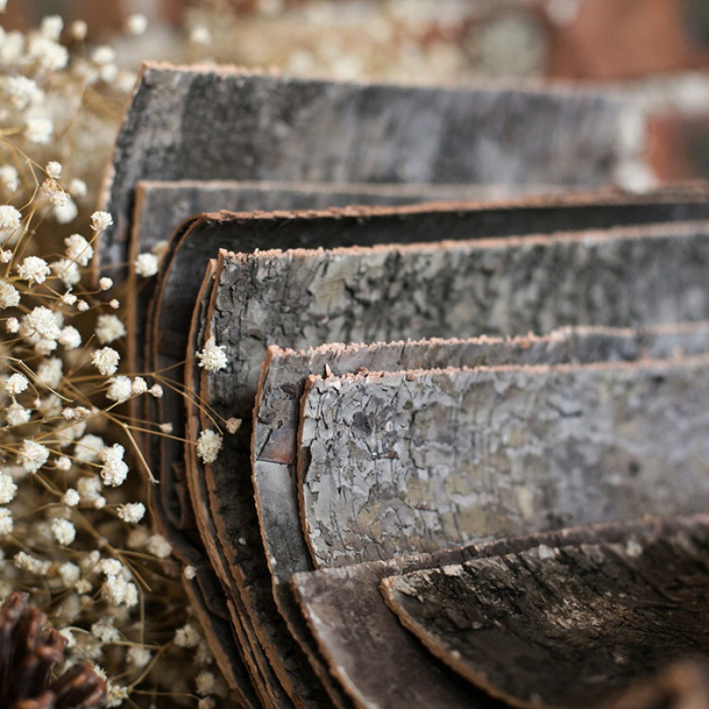 美帮汇白桦木皮 桦树皮 马赛克DIY装饰 ZAKKA森系拍摄道具 D桦树皮24*24cm10片 干树枝高清大图