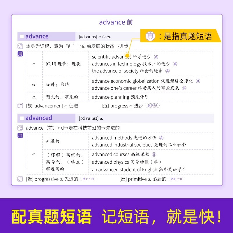 2025考研词汇闪过(书课包)重点词+视频课+个性化复习规划 [正版]2025版考研词汇考研英语一英语二默写本语法长难句